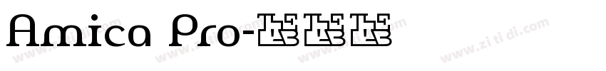 Amica Pro字体转换